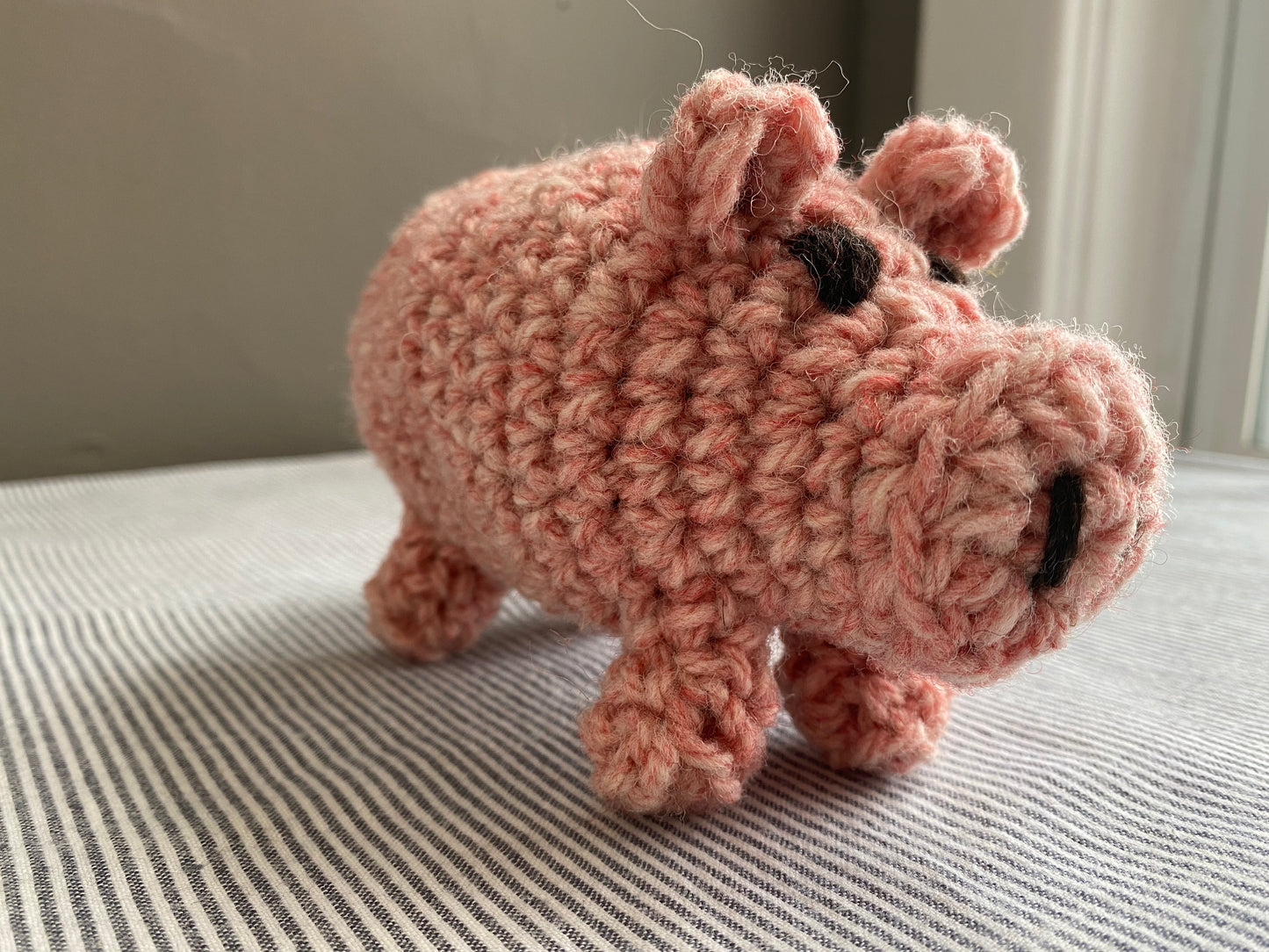 Canadian Wool Piglet