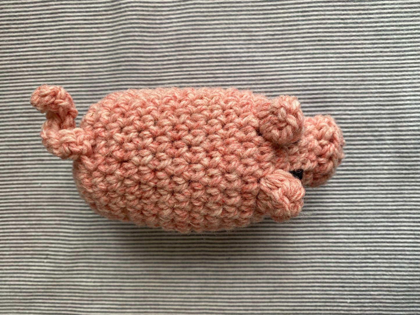 Canadian Wool Piglet