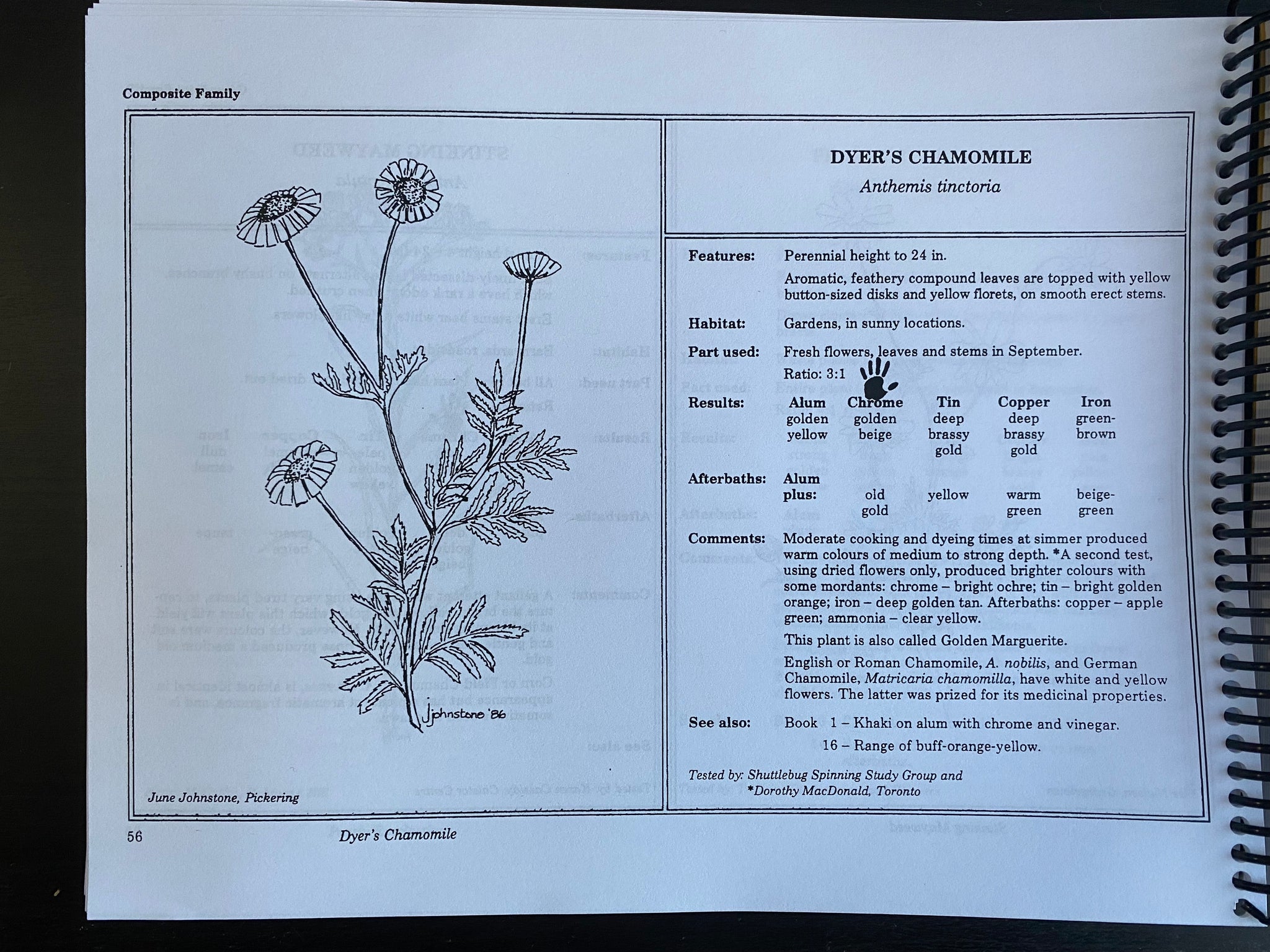 Spectrum: Dye Plants of Ontario