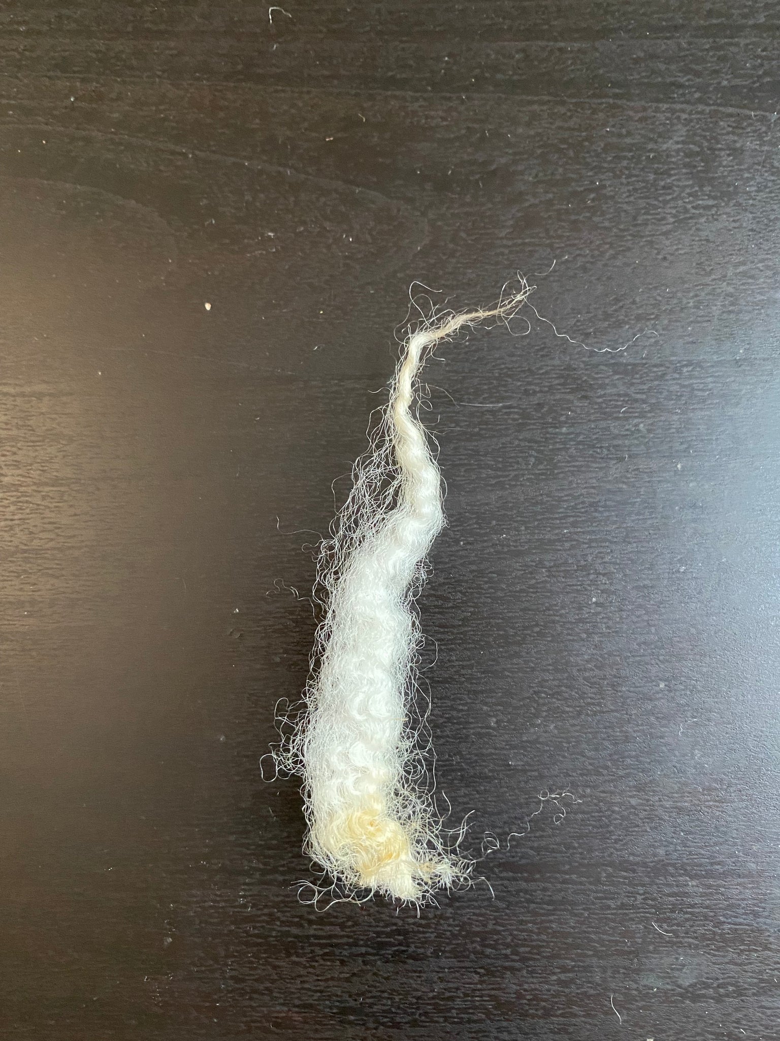 Rose's Creamy, Crimped Wool